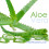 Aloe Vera for Health Aloe Vera Leaves and Gel